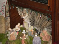 /album/i-miei-animali/pc290102-jpg/