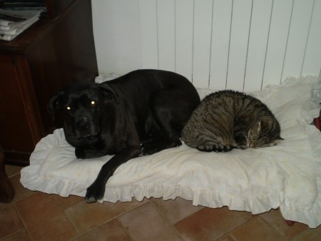GIADA e JUNIOR
